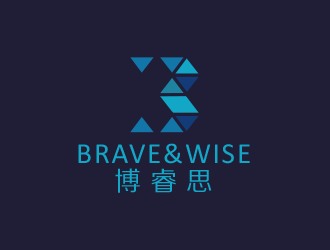 Brave&Wise博睿思咨詢(xún)公司logologo設(shè)計(jì)