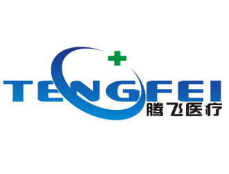 李正東的河南省騰飛醫(yī)療器械有限公司logo設(shè)計